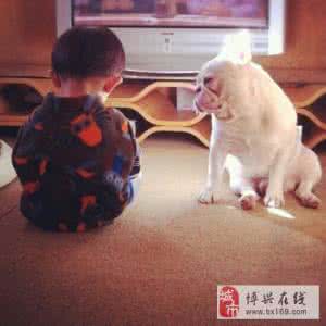 宋组儿的妈妈照片 一位妈妈拍给儿子的一组红遍全球的照片，心都被融化了