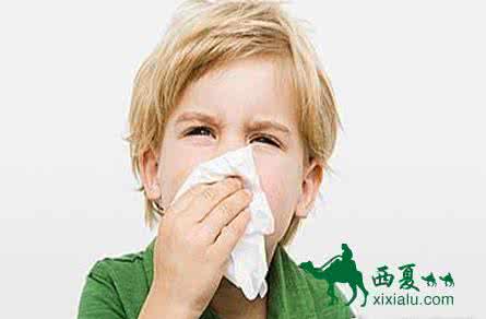 过敏性鼻炎自我治疗 过敏性鼻炎自我治疗 过敏性鼻炎怎么办