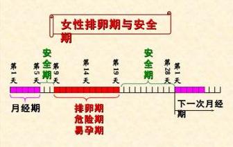 安全期避孕法计算 安全期怎么算 安全期避孕法怎么算呢