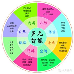多元智能理论 多元智能理论 多元智能理论：九大智能_多元智能理论