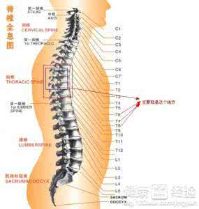 脊髓肿瘤的早期症状 脊髓肿瘤 脊髓肿瘤的症状是什么