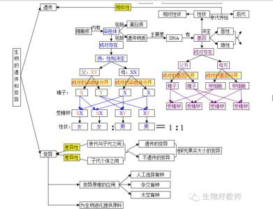 初中生物知识重点汇总 初中生物知识