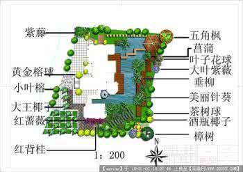 别墅庭院植物配置表 庭院植物配置图解