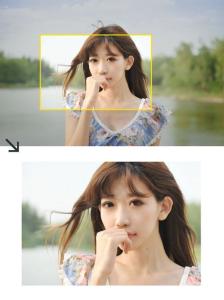 原告主体不适格裁定书 如何学会裁图凸显照片主体