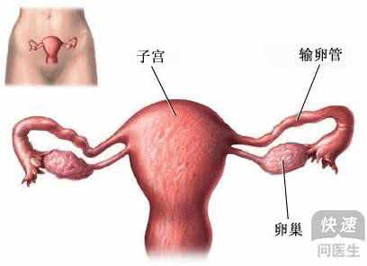 引起输卵管不通的原因 引起输卵管不通的原因 输卵管不通 引起它的原因有哪些
