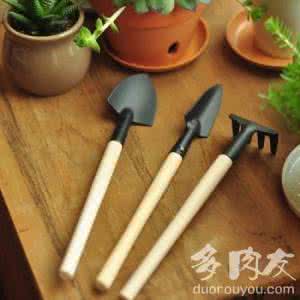 多肉植物朋友圈说说 多肉友的实用工具