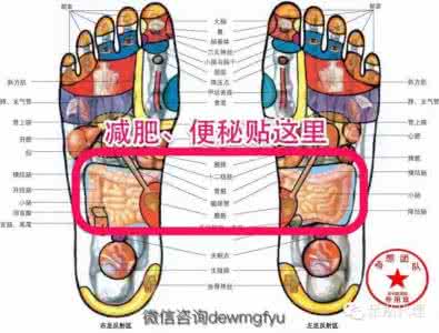 藏御堂28泡 人体毒素 如何排出 藏御堂分享常按脚底这一地方,帮你排出肾脏毒素!