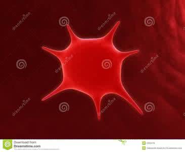 血小板低的原因及后果 血小板