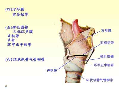 喉癌的早期症状 喉
