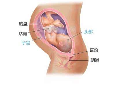 孕晚期脐带绕颈 孕晚期脐带绕颈怎么办 孕期胎儿脐带绕颈发生率高达80% 孕妇如何预防