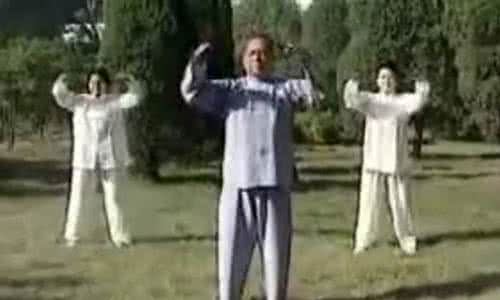 冯志强心意混元太极拳 【冯志强】陈式心意混元24式太极拳