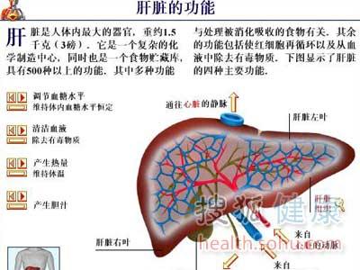 眼睛与五脏六腑的关系 用眼睛太狠会牵连五脏