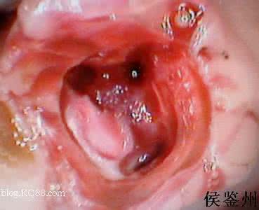 内科主任年终总结 口腔内科年终总结