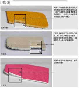 皮革知识 识别真假皮革知识