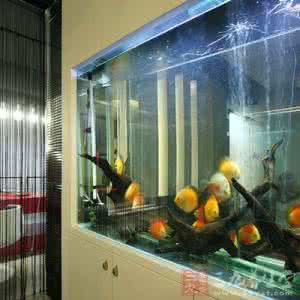 家里放这物早晚进医院