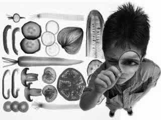 十大健康食品 网上热传十大健康食品真是如此神奇？