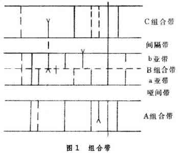 生物医学工程 生物医学遥测