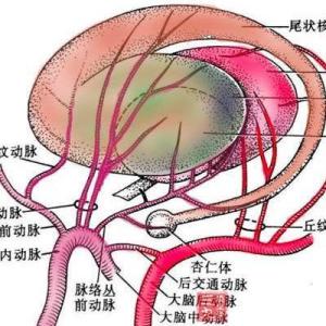 改善血液循环 什么措施能改善血液循环？