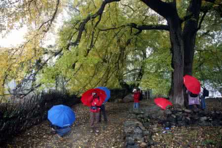 前门情思大碗茶 秋雨霏霏 秋雨霏霏情思