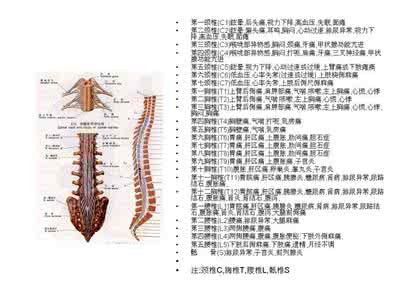脊椎疾病 你知道脊椎对应的哪些疾病吗？
