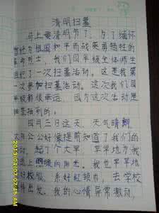 写清明的作文550字 清明扫墓作文550字