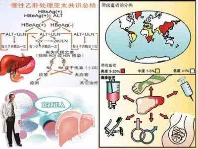 乙肝病毒携带者数量 乙肝病毒携带者数量由9.75%降至7.18%，