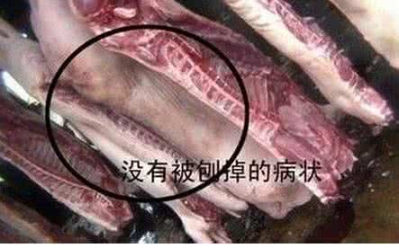 如何辨别病死肉？