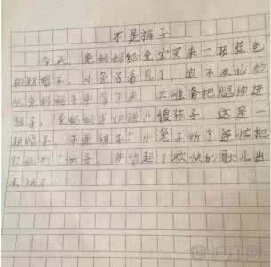 有趣的标点符号教案 有趣的标点符号故事