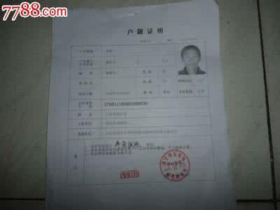 新型农村养老保险计算 新型农村养老保险 新型农村养老保险计算(修改)