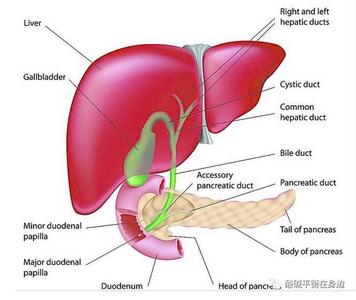 突然长痣身体的信号 身体出现这8个信号，说明一件事：你的肝脏存毒了！