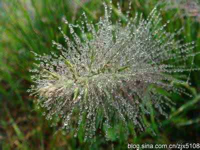 二十四节气 二十四节气详析