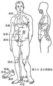 足少阴肾经 经脉循行 十四经脉腧穴 足少阴肾经