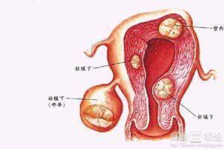 一个卵巢会变老吗 一个卵巢会变老吗 卵巢为什么急着变老?