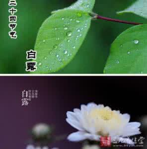 白露时节 白露时节养生三注意
