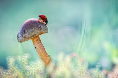 触碰心灵的话 温柔的触碰：心灵启迪集锦（二）