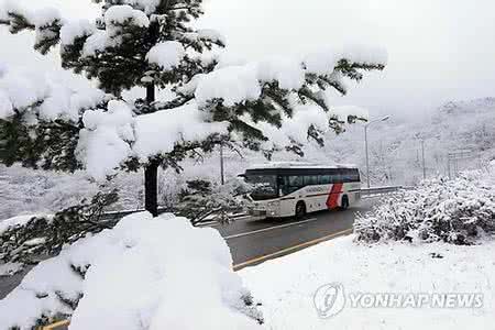 西安大雪 大雪映西安：银装素裹别样美（组图）