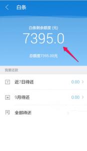 京东白条止付解除成功 京东白条止付解除成功 京东白条怎么解除止付?