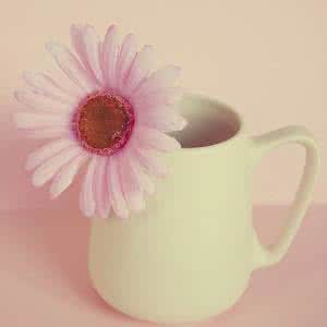 早安心语 早安心语：谁也逃不过两样东西，一是因果，二是无常