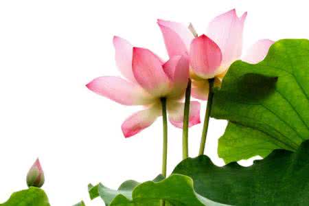 摄影棚拍摄技巧 十点摄影经验谈|拍摄技巧