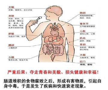 脏腑排毒时间 排毒的方法 常吃它能有效排除脏腑毒素