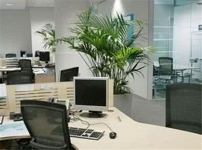 八面玲珑的人好吗 办公室好风水让你八面玲珑