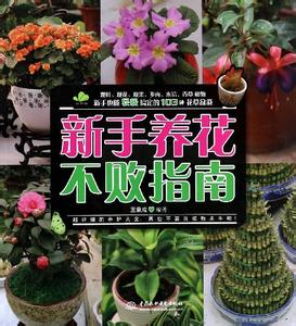 新手养花不败指南 pdf 技巧 | 超实用的春季养花指南！