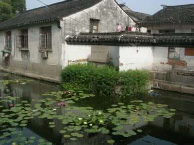 苏州唐寅故居 寻访苏州小园林（五）唐寅故居、准堤庵