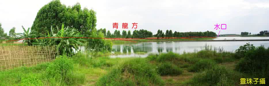 【实践案例】平岗龙系列之“飞雁投湖”(灵珠子 )