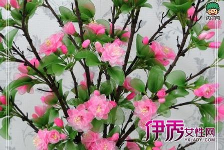 茶花枝条怎么生根 茶花、杜鹃、海棠别买了,捡个枝条就能插出一大盆