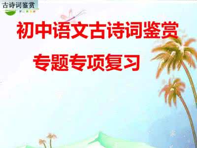 《_中考语文复习——古诗词鉴赏专题》优秀 教案