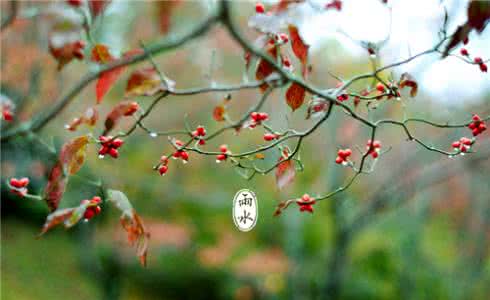 雨水节气 雨水节气养脾胃 初春养生防春寒