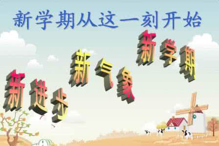 行动是桥作文550字