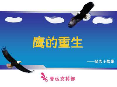 鹰的故事的励志故事 【励志故事】鹰的40年和70年的选择