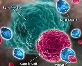 人类基因组计划 基因可预测人类死亡时间？揭基因与死亡关系